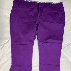 Purple pants